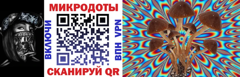 Псилоцибиновые грибы мухоморы  Купить где  Лакинск 